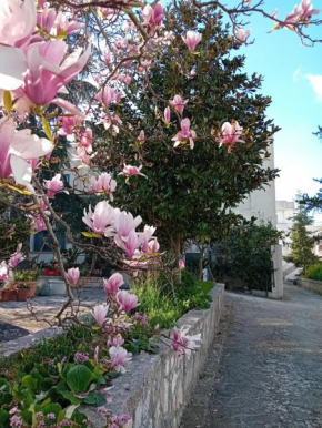 MT House Alberobello
